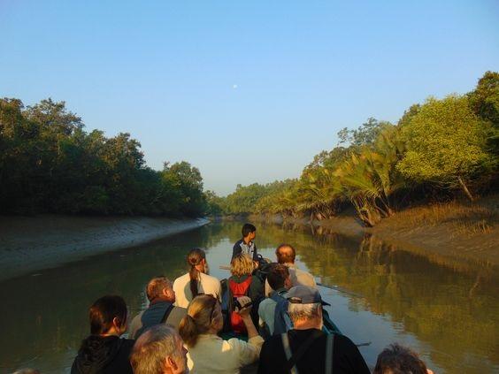 Sundarban Expedition 