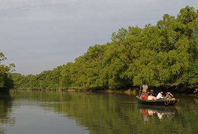 Passenger Ferry Boat & Sundarban Tour